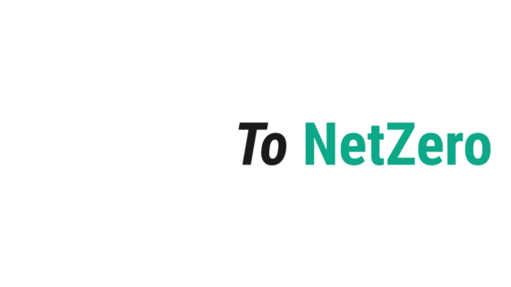 To NetZero logo