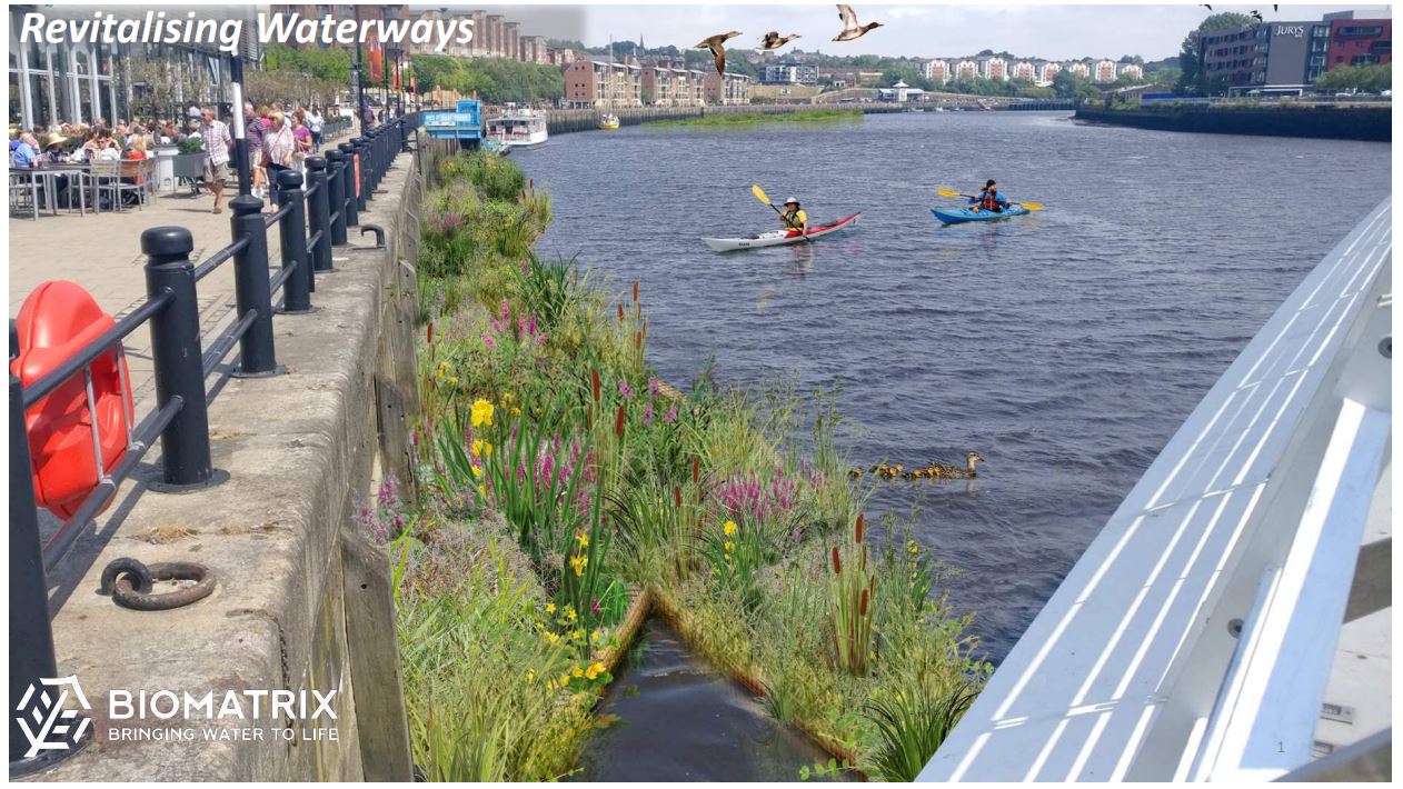 Groundwork revitalising our estuaries project - River Tyne biomatrix